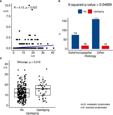 Analysis of predictive factors of unforeseen nodal metastases in resected clinical stage I NSCLC